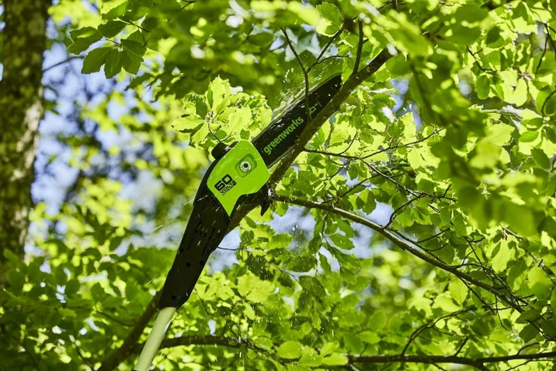 74988_2.jpg