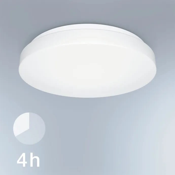 79068_3.jpg