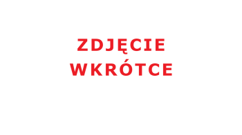 Wiertarko-wkrętarka w walizce + bateria 2 Ah + ładowarka 2,4 A + akcesoria C-DTB74/1-X 20 V IXES SCHEPPACH 5909315900
