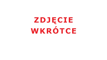 Bit krzyżowy PZ 1 - 50 mm / Diamond FELO 03101580