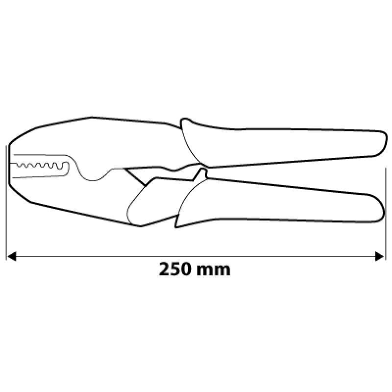 ART_WZR_390905.JPG