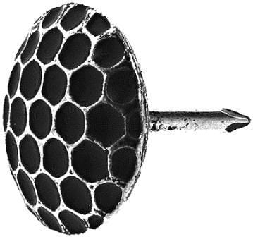ART_WZR_338138.JPG