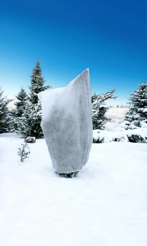 ART_WZR_282259.JPG
