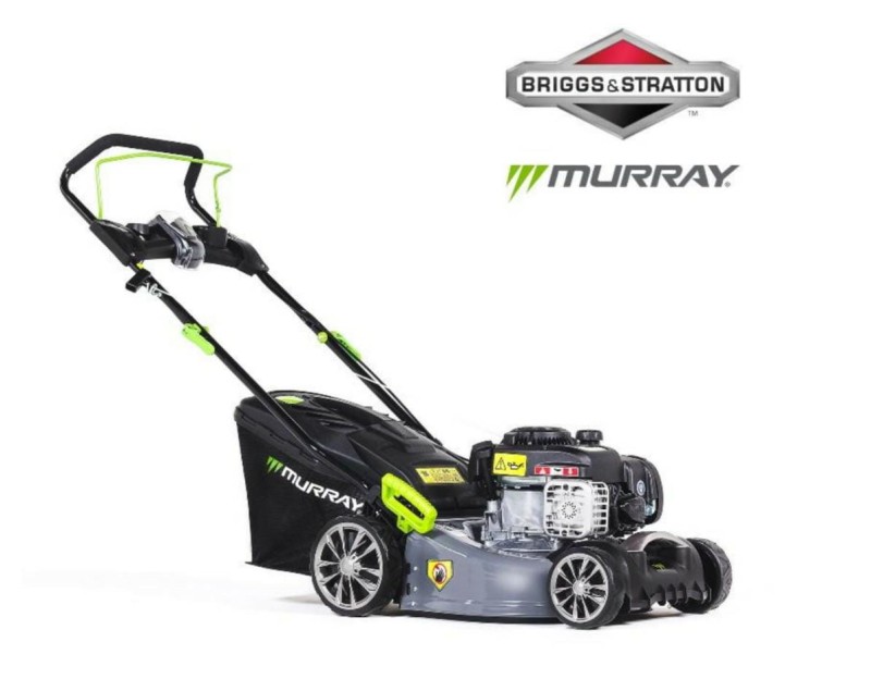 MURAY%20EQ2.jpg